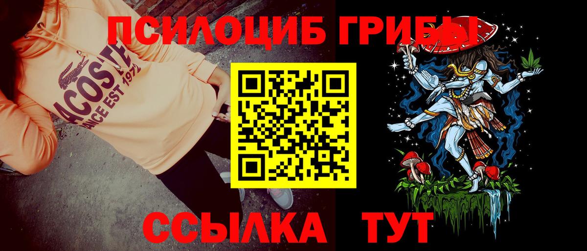 Кропоткин  Галлюциногенные грибы MAGIC MUSHROOMS  Вход с VPN 